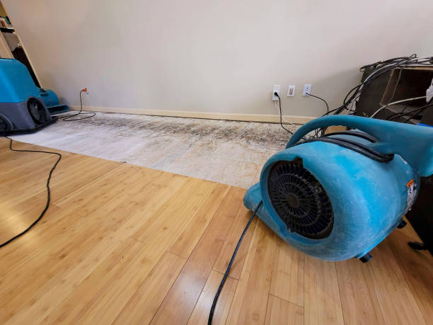 Professional Water Damage Repair technician working in California, CA